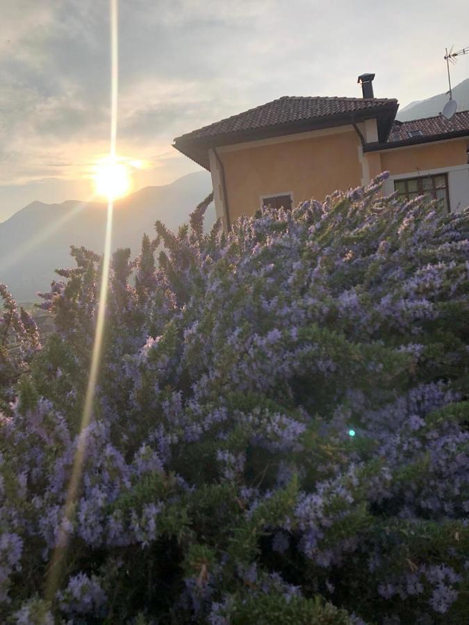 La Villa Degli Orti Borgo Valsugana Exteriör bild